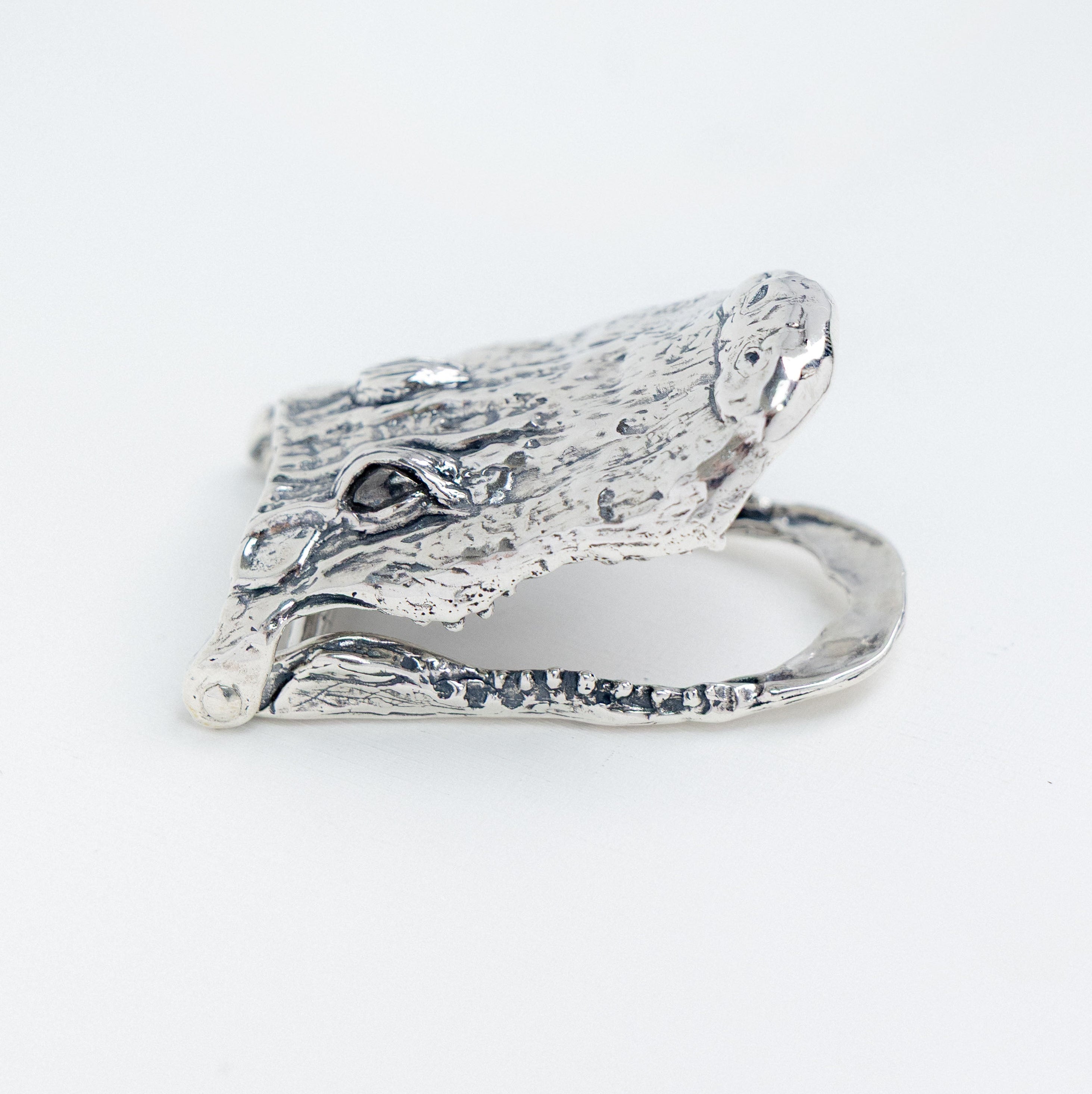 Alligator Buckle
