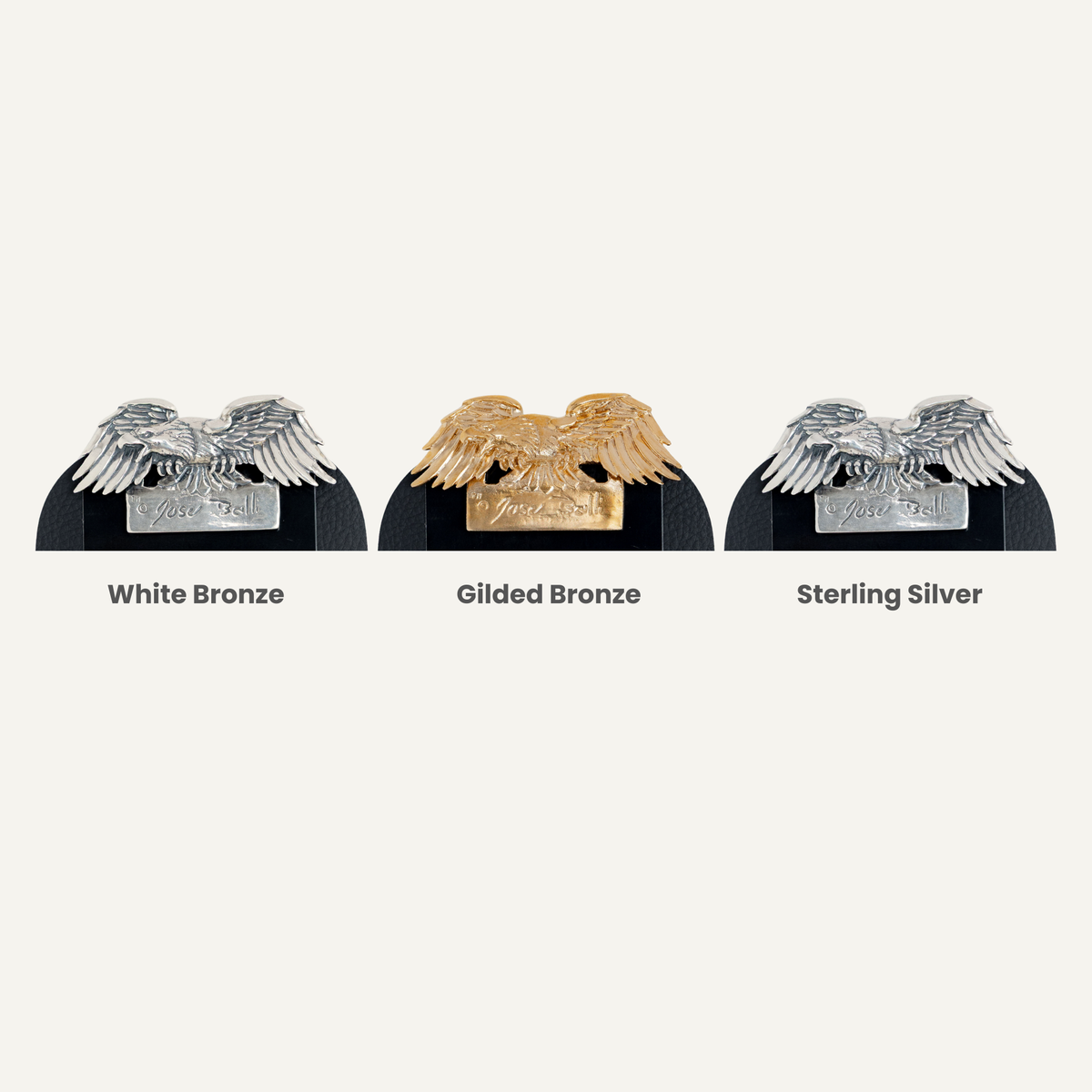 Eagle Pocket Square™