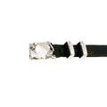Stingray Buckle
