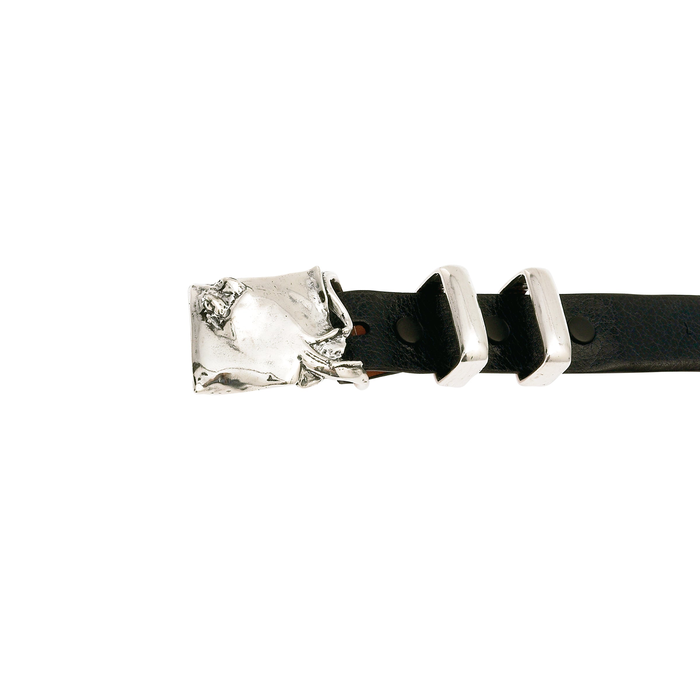 Stingray Buckle