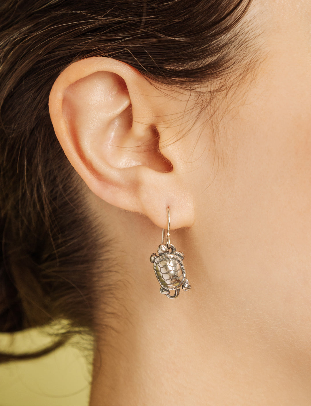 Box Turtle Earrings