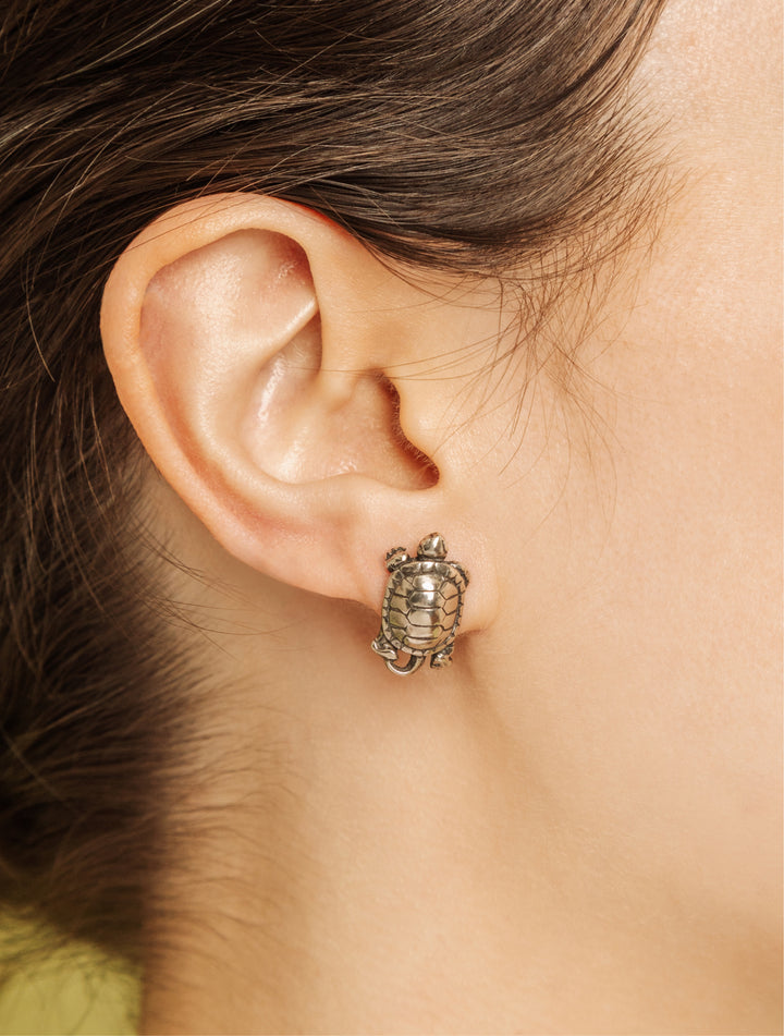 Box Turtle Post Earrings